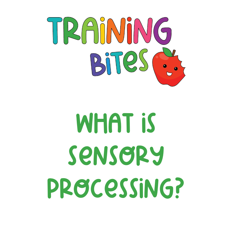 What is Sensory Processing?
